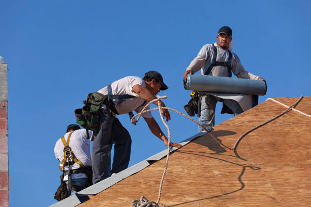 Best Roof Maintenance Services  in Caledonia, WI
